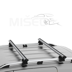 KROVNI NOSAČI CITROEN C3 (2002-2009), ALU, ODVOJENE ŠINE - VORTEX L - Auto Misel